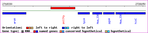 gene map