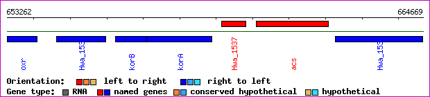 gene map