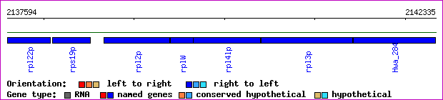 gene map