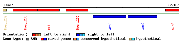 gene map