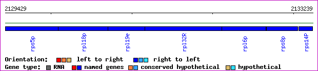 gene map