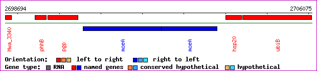 gene map