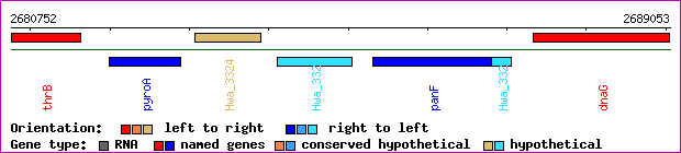 gene map