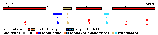 gene map