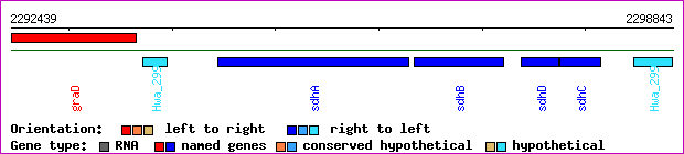 gene map