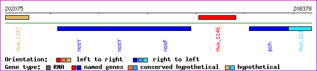 gene map