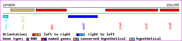 gene map