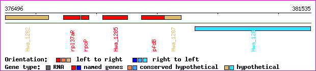 gene map
