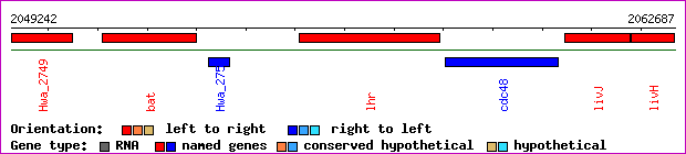 gene map