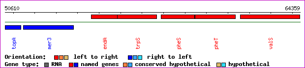 gene map