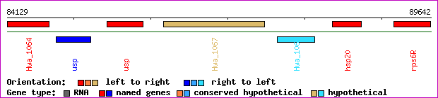 gene map