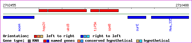 gene map