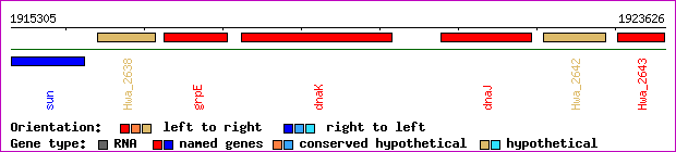 gene map