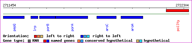 gene map