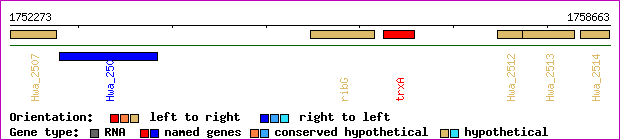 gene map