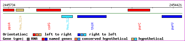 gene map