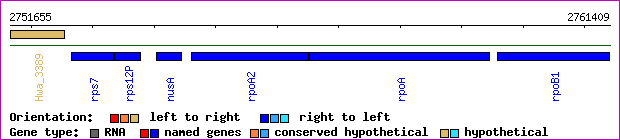 gene map