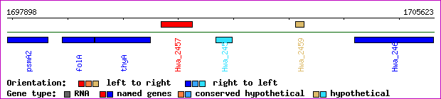 gene map