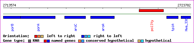 gene map
