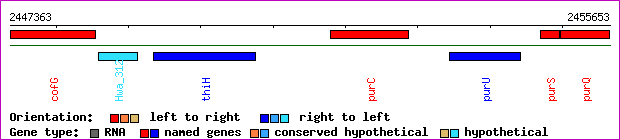 gene map