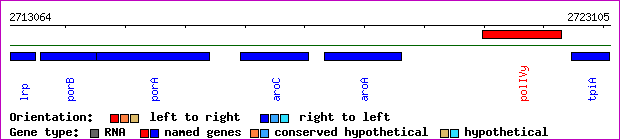 gene map
