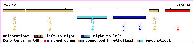 gene map