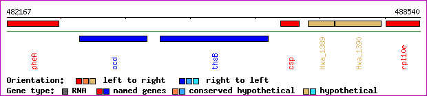 gene map