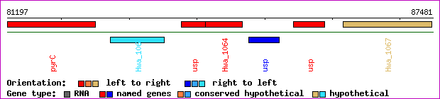 gene map