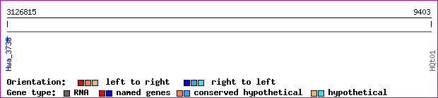 gene map