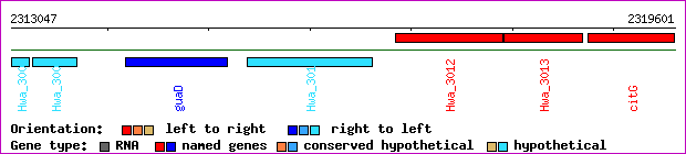 gene map