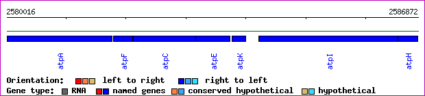 gene map