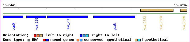 gene map