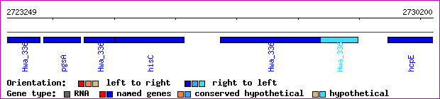 gene map