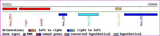 gene map