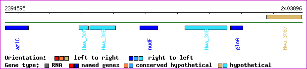 gene map
