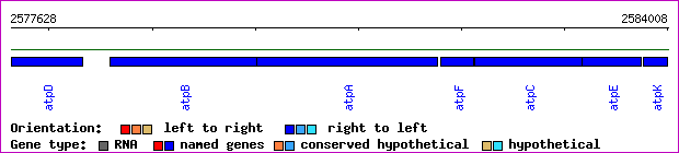gene map