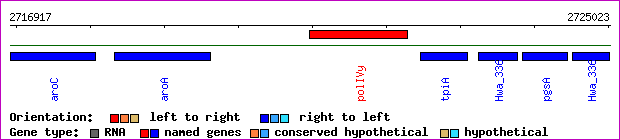 gene map