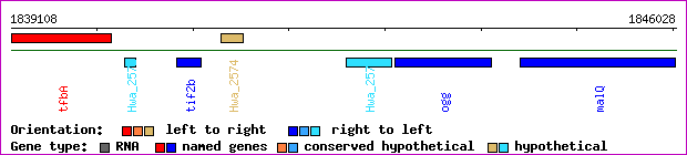 gene map
