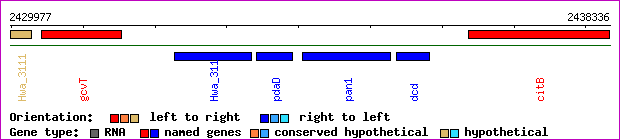 gene map