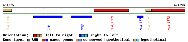 gene map