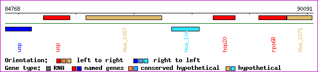 gene map