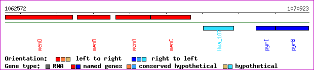 gene map