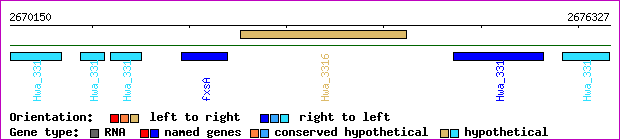 gene map