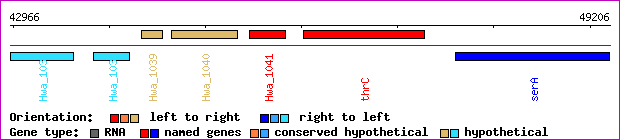 gene map