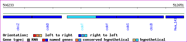 gene map