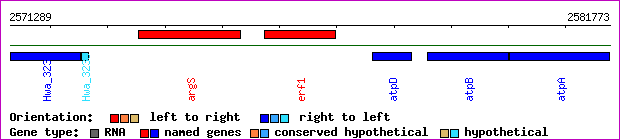 gene map