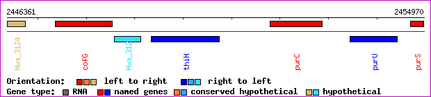 gene map