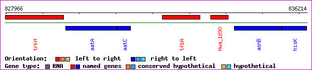 gene map