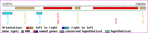 gene map