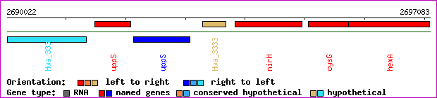 gene map